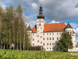Im Bezirk Eferding werden am 12. und 19. Mai im Lern- und Gedenkort Schloss Hartheim Begleitungen durch die Ausstellung "Wert des Lebens" und die Gedenkstätte angeboten.