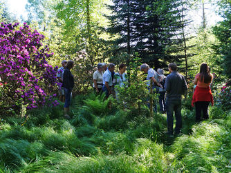 Zu einer besonderen Führung durch das Arboretum St.Roman lud das LIGNORAMA am Pramtaler Museumstag im Zusammenhang mit der neuen Sonderausstellung "Wald und Gesundheit".