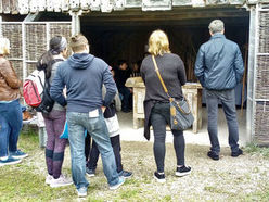 Bei der Sonderausstellung "Bogen, Schleuder, Speer", die 2 Tage lang im Keltendorf Mitterkirchen zu besichtigen war, konnten viele interessierte Besucher*innen begrüßt werden.