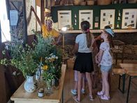 Wissenswertes über Blumen und Pflanzen, die bei uns wachsen, erfuhren Kinder im Freiilchtmuseum Pelmberg.