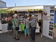 Interessierte Besucherinnen und Besucher bei unserem Informationsstand