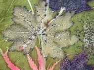 Zur Kurs- und Werkstättenschnupperei lädt das Textile Zentrum Haslach am 17. Mai 2025 von 16:30-18:00 Uhr. Hier: Ecoprint - ein Geschenk der Natur