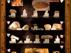 Mineralien und Fossilien aus Perg und Umgebung im Heimathaus-Stadtmuseum Perg