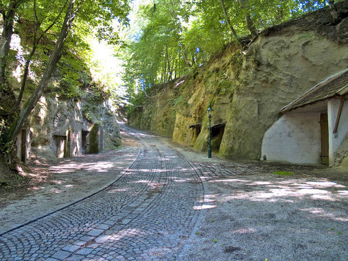 Blick in das einzigartige Naturjuwel der Raaber Kellergröppe mit seinen zahlreichen Bier-Sandkellern.