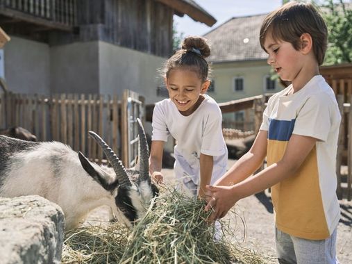 Ein Streichelzoogmit seltenen heimischen Tierarten