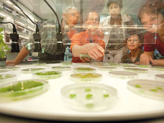 Das Ars Electronica Center setzt auf Interaktion mit den Besucherinnen und Besuchern. 