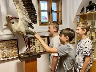 Im OÖ. Schulmuseum macht das Lernen Spaß.