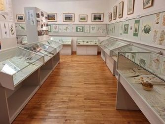 Einblick in die Ausstellung über Erich Wilhelm Ricek