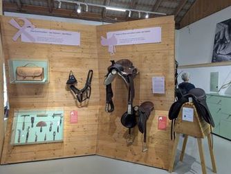 Einblick in die Dauerausstellung