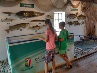 Blick in das Fischermuseum