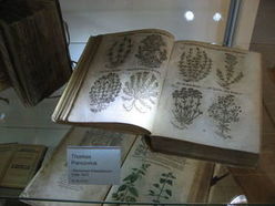 Kräuterbuch aus dem Jahre 1673 im Apothekenmuseum Mauthausen