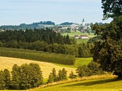 Blick auf St. Ulrich im Mühlkreis