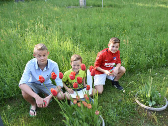 Zeichenkurs für Kinder am 24. Juli 2018 im Biologiezentrum Linz: Heuschreckenzeichnen.