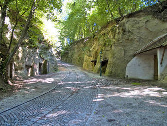 Im Rahmen des INTERNATIONALEN und des PRAMTALER MUSEUMSTAGS lädt der Verein Raaber Museen am 19. Mai von 13:00 bis 17:00 Uhr laufend zu Sonderführungen durch die Kellergröppe...