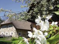 Bauernschaft und Seniorenbund laden am 19. Mai 2019 zum Mostfest im Freilichtmuseum Großdöllnerhof.