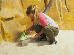 Beim Familientag im Evolutionsmuseum am 30.8. Fossilien und Mineralien ausgraben (Materialkosten/Kind: 14,50 Euro).