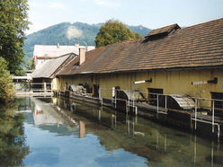 Der gut beschilderte, kinderwagentaugliche Sensenweg mit einer Länge von ca. 2,4 km führt durch den ehemals größten Sensenbetrieb der Donaumonarchie. Fluder des Sensenmuseums Geyerhammer in Scharnstein.