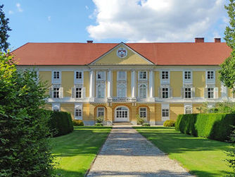 Das Fürstlich Starhembergsche Familien- und Stadtmuseum ist ab Juli wieder an Sonn- und Feiertagen für Besucherinnen und Besucher geöffnet. Man erfährt hier Wissenswertes zur Familiengeschichte der Starhemberger. Zudem geben zahlreiche Erinnerungs- und Fundstücke Einblick in die Geschichte des alten österreichischen Adelsgeschlechtes und den Werdegang der drittältesten Stadt Österreichs.