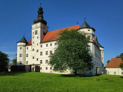 Jeden ersten Sonntag im Monat finden öffentliche Begleitungen durch den Lern- und Gedenkort Schloss Hartheim statt. 