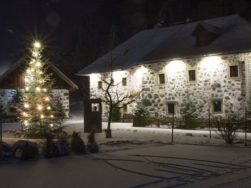 Jedes Jahr zu Weihnachten verbreitet das weihnachtlich geschmückte Hirschbacher Bauernmöbelmuseum eine besondere Stimmung im Ort. Im 18. und 19. Jahrhundert wurden in Hirschbach im Mühlkreis in den Wintermonaten die berühmten Hirschbacher Bauernmöbel erzeugt.