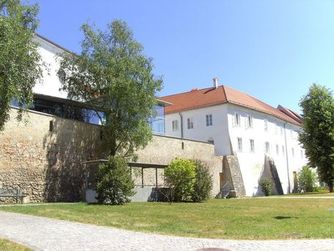 Zur Rätselrallye mit Elsie und Ovil durch die Römerzeit wird ins Stadtmuseum Wels - Minoriten geladen. 