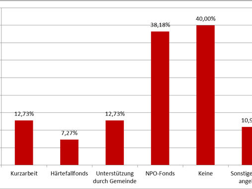 Trotz eklatantem Besucherrückgang und damit einhergehendem Einnahmenentgang haben 40% der Museen keinerlei Unterstützung 2020 beansprucht. Mit 38% fand hingegen der NPO-Fonds den größten Zuspruch unter den Museen.