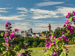 Bei der Sonderführung am 8. Mai erhalten Besucherinnen und Besucher Einblick in sonst verborgene Bereiche der Burg Clam.