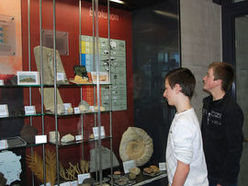 Am Pramtaler Museumstag, dem 7. Mai 2023 lädt das Museum in der Schule & Radiomuseum zu einer Sonderführung "Mineralien & Fossilien / Mineralien & Gesundheit" um 14:00 Uhr.