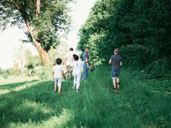 Ein spannendes Naturerlebnis wird am Sonntag, den 19. Mai 2024 am Sumerauerhof St. Florian geboten. Mit Anmeldung!